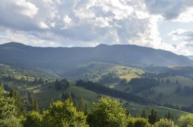 Otlak alanları yamaçlardaki orman parçalarıyla kesişmiş. Uzaktan görülebilen dağınık evler, yeşilliklerin arasına yerleşmiştir. Arka plandaki dağlar yoğun ormanlarla kaplıdır. 