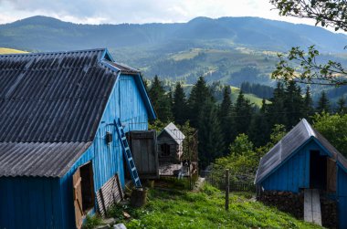 Kırsal mavi ahşap kulübe sakin bir manzaranın ortasında duruyor. Arka planda, orman dağları görkemli bir şekilde yükselir, zirveleri bulutlarla örtülüdür. Karpatlar, Ukrayna