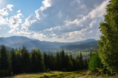 Verkhovyna Köyü 'nün bir vadisine uzanan güzel bir patika. Yuvarlanan tepelerin arasına kurulmuş. Gökyüzünün altındaki yemyeşil süslerle bezenmiş.