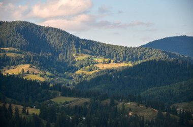 Resim, otlaklardaki kırsal evlerin, yemyeşil kayan tepelerin ve dağların yoğun ormanlarla kaplı olduğu sakin bir yaz manzarasını resmediyor. Karpatlar, Ukrayna