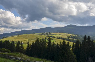 Bereketli yeşil tarlaları, yuvarlanan tepeleri ve bulutlu bir gökyüzünün altında sık ormanları olan manzaralı bir yer. Karpat Dağları, Ukrayna