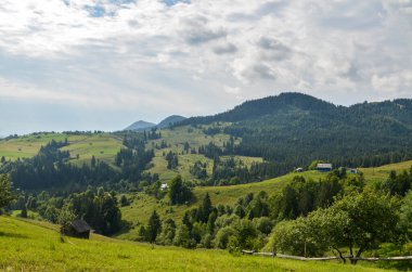 Bereketli yeşil tarlaları, yuvarlanan tepeleri ve bulutlu bir gökyüzünün altında sık ormanları olan manzaralı bir yer. Karpat Dağları, Ukrayna