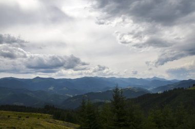 Yükselen tepelerin yemyeşil yeşilliği, dağılmış ağaçlar ve dağlarla dolu, dramatik bir gökyüzünün altında bir dizi bulutla dolu. Karpat Dağları, Ukrayna