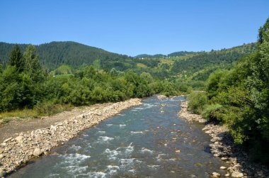Bereketli yeşil ağaçlarla çevrili Cheremosh Nehri 'nin temiz akışı taştan kıyılardan esiyor ve arka planda parlak mavi gökyüzünün altındaki Carpathian Dağları var.