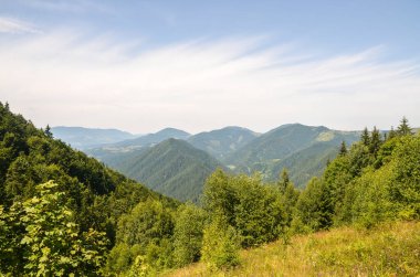 Çalıları ve ağaçları olan sakin bir manzara, yaz günlerinde dağları kaplayan sık ormanlara götürür. Karpat Dağları, Ukrayna