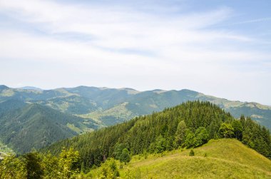 Berrak mavi gökyüzünün altında, dağınık bulutlarla kaplı, yemyeşil dağ tepeleriyle kaplı manzaralı bir yaz manzarası. Karpat Dağları, Ukrayna