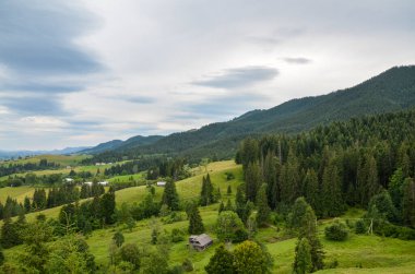 Bereketli yeşilliklerle kaplı yuvarlanan tepeler kozalaklı ağaçların yoğun ormanlarıyla kesişiyor. Alttaki vadi, doğal güzelliklerin arasına yerleşmiş dağınık evleri gözler önüne seriyor. Karpatlar, Ukrayna