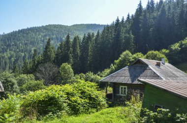 Sahne, yemyeşil yemyeşil, sakin kırsal bir ortamda yuva yapmış kırsal ahşap bir ev yakalıyor. Evin ötesinde sık ormanlı dağlar berrak mavi bir gökyüzünün altında yükselir ve güzel bir zemin oluşturur.