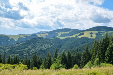 Bereketli yeşillik ve sık ormanlarla bezenmiş kayan tepelerin ve dağların yaz manzarası dağınık beyaz bulutlu mavi bir gökyüzüne karşı. Karpatlar, Ukrayna