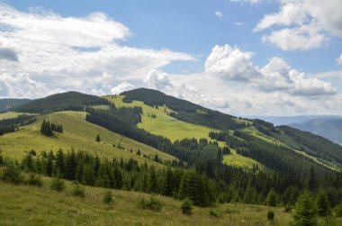 Önünde sık ağaçlar olan yemyeşil bir ormanın manzarası ve arka planda kayan tepeler ve ince bulutlarla dolu berrak bir gökyüzünün altında dağlar. Karpat Dağları, Ukrayna