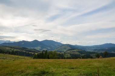 Tomurcuklanan tepelere dönüşen yemyeşil çayır. Ağaçlar ve görkemli dağ sıraları ufuk boyunca uzanıyor. Parçalı bulutlu bir gökyüzünün altında. Karpat Dağları, Ukrayna