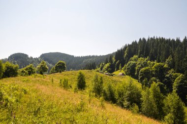 Dağılmış ağaçlarla kaplı çimenli tepeleri barındıran panoramik manzara, uzaklığa doğru uzanan birden fazla orman dağ sırtı katmanlarına yol açıyor. Karpat Dağları, Ukrayna