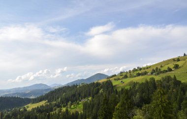 Yeşil tarlalar ve ormanların arasında sakin bir kır evi manzarası vardı. Bulutlu bir gökyüzünün altında yuvarlanan tepeler sakin bir kırsal atmosfer yaratır. Karpat Dağları, Ukrayna