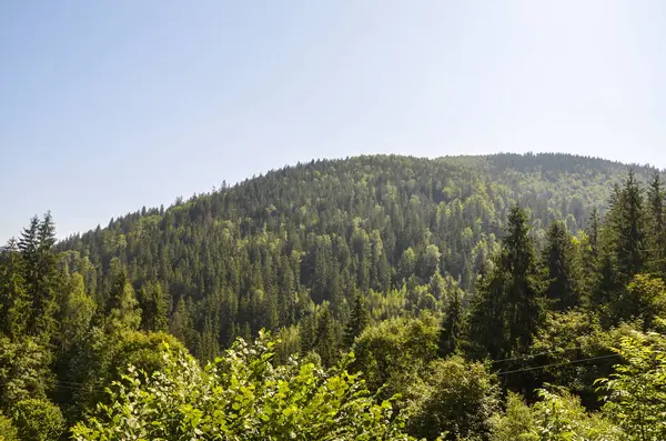 Açık mavi gökyüzünün altındaki yeşil ormanlık tepenin güzel geniş manzarası sükunetin ve doğanın güzelliğinin özünü yakalıyor. Vahşi doğa, dinginlik ve doğal güzellik temaları için ideal. 