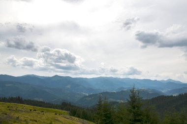 Yuvarlanan tepeleri ve dramatik bulutlu gökyüzünü barındıran sakin dağ manzarası. Huzurlu manzara, sakinlik ve doğal güzelliği çağrıştırıyor. Açık hava ya da seyahat temaları için mükemmel. Karpatlar