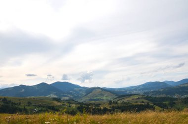 Yuvarlanan tepelerin ve yumuşak bulutlarla dolu geniş gökyüzünün altındaki uzak dağların huzurlu manzarası. Doğal ve kırsal ortamlarda huzur ve sükunet uyandırmak için mükemmel. Karpatlar, Ukrayna