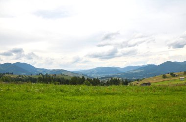 Geniş, yeşil bir çayırın bulutlu bir gökyüzü altında uzanan uzak, yuvarlanan dağlara uzanan manzarası doğanın ve huzurun güzelliğini yakalıyor. Karpat Dağları, Ukrayna