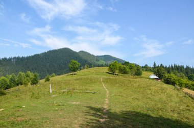 Yeşil tepeleri ve açık mavi gökyüzünü barındıran güzel dağ manzarası. Sahne sakinliği ve doğa ile bağlantıyı çağrıştırıyor, açık hava aktiviteleri ve rahatlama için ideal. Karpatlar, Ukrayna