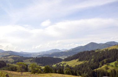 Parlak mavi gökyüzünün altında yuvarlanan yeşil tepelerin nefes kesici manzarası. Uzun çam ağaçları ön planda uzanır ve bu pitoresk dağ manzarasında sakin ve sakin bir manzara yaratır. Karpatlar, Ukrayna