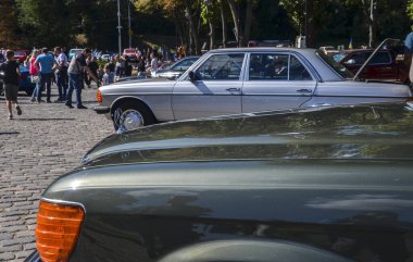 Güneşli bir günde araba meraklılarının coşkulu kalabalığıyla çevrili klasik araba fuarı. Olay otomotiv tarihi ve toplum ruhunu ön plana çıkardı