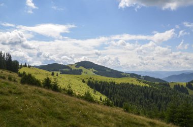 Bulutlu bir gökyüzünün altındaki görkemli dağların zeminine kurulmuş yemyeşil orman ve yuvarlanan tepelerin nefes kesici manzarası doğanın sükuneti ve güzelliğini somutlaştırıyor. Karpatlar, Ukrayna