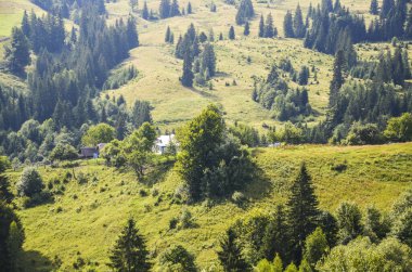 Bereketli yeşillik ve dingin doğal güzelliklerle çevrili kırsal bir kulübeye sahip nefes kesici bir dağ manzarası. Karpat Dağları, Ukrayna