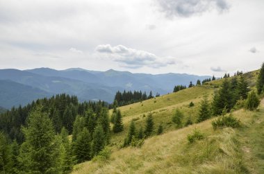 Bulutlu bir gökyüzünün altındaki görkemli dağların zeminine kurulmuş yemyeşil orman ve yuvarlanan tepelerin nefes kesici manzarası doğanın sükuneti ve güzelliğini somutlaştırıyor. Karpatlar, Ukrayna