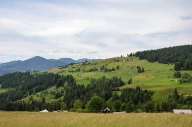 Bereketli yeşil ormanların, yuvarlanan otlakların ve huzurlu bir gökyüzü altında yayılmış küçük kır evlerinin yer aldığı Idyllic kırsal dağ manzarası huzur ve doğal güzelliği çağrıştırıyor. Karpatlar Dağları, Ukrayna