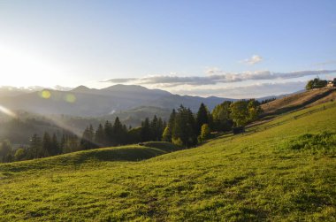 Gün batımında kayan tepeleri ve uzak dağları olan güzel otlak kırsal alan huzurlu ve huzurlu bir doğal manzara yaratıyor. Karpatlar, Ukrayna
