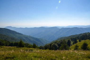 Geniş dağ sıraları, ormanlık yamaçlar ve açık gökyüzünün altındaki çimenli tepeler doğal güzellikleri gözler önüne seriyor. Karpat Dağları, Ukrayna