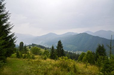 Etrafı bulutlu bir gökyüzü altında ormanlarla çevrili yeşil dağlık bir bölgenin huzur ve doğal güzelliği temsil etmek için mükemmel bir manzarası var. Karpat Dağları, Ukrayna