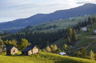 Yeşil tepelerin, kırsal ahşap evlerin ve dingin bir gökyüzünün altında bir dağ zemininin olduğu huzurlu kırsal kesim manzarası. Karpat Dağları, Ukrayna