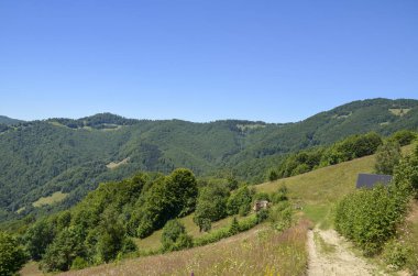 Berrak mavi gökyüzü altında yuvarlanan tepeler, yoğun ormanlar ve kırsal cazibe içeren sakin kırsal manzara huzur ve doğal güzelliği çağrıştırıyor. Karpat Dağları, Ukrayna