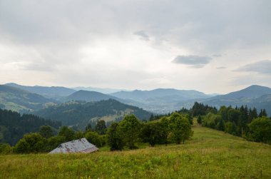 Yuvarlanan tepeler, yeşil ağaçlar ve bulutlu gökyüzü altında büyüleyici kır evleri olan sakin dağ manzarası doğanın ve kırsal huzurun güzelliğini vurguluyor. Karpat Dağları, Ukrayna