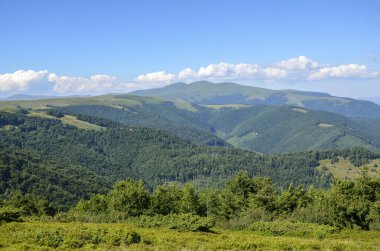 Berrak, canlı, mavi gökyüzünün altında sık ormanlarla kaplı yemyeşil tepelerin yer aldığı manzaralar dinginlik ve doğal güzelliği çağrıştırıyor. Karpat Dağları, Ukrayna