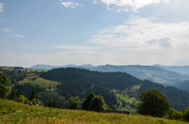 Yoğun yeşil ormanlarla kaplı dağ sırasının manzarası ve güzel mavi gökyüzünün altında uzanan geniş açık çayırlar. Karpat Dağları, Ukrayna