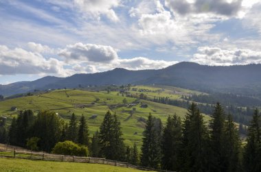 Yeşil tepelerin, dağınık evlerin, çam ormanlarının ve görkemli dağların olduğu güzel bir yaz manzarası. Karpatlar, Ukrayna