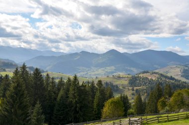 Yeşil tepelerin, dağınık evlerin, çam ormanlarının ve görkemli dağların olduğu güzel bir yaz manzarası. Karpatlar, Ukrayna