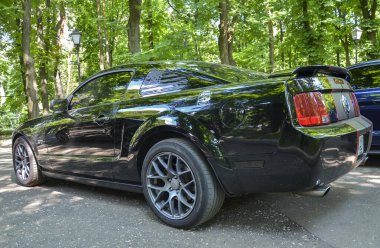 Siyah bir Ford Mustang 'in arka görüntüsü, ayırt edici arka farlarını ve spor spikerini vurguluyor.