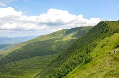 Gökyüzü altında yoğun bitki örtüsüyle kaplı yemyeşil dağ sırasının panoramik manzarası bulutlarla dolu. Seyahat, doğa ve manzara kavramları için mükemmel. Svydovets, Karpatlar