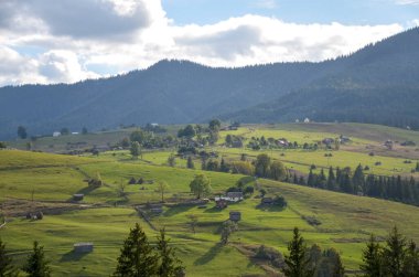 Huzurlu kırsal bir alana yayılan yemyeşil alanlar ve ormanlık tepelerin arasına yerleşmiş huzurlu bir köy. Karpat Dağları, Ukrayna