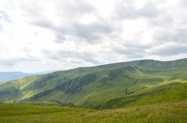 Yumuşak bulutlu, yuvarlanan çimenli dağların yer aldığı sakin bir manzara araziye gölge düşürüyor ve doğanın barışçıl güzelliğini gözler önüne seriyor. Karpatlar, Ukrayna