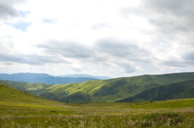 Bulutlu gökyüzünün altında yemyeşil tepeler uzanıyor. Huzur ve doğal güzellik sunuyor. Svydovets sırtı, Karpatlar, Ukrayna