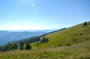 Bereketli çimen ve ağaçların yer aldığı, berrak mavi gökyüzü ile uzaklara uzanan manzaralı doğal yamaç manzarası. Karpat Dağları, Ukrayna 