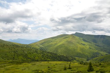 Yarı bulutlu bir gökyüzünün altında yuvarlanan yeşil tepelerin bulunduğu huzurlu dağlık manzara el değmemiş doğal güzellikleri sergiliyor. Karpat Dağları, Ukrayna