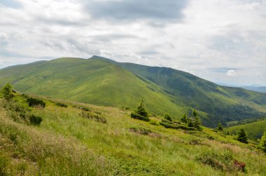 Yarı bulutlu bir gökyüzünün altında yuvarlanan yeşil tepelerin bulunduğu huzurlu dağlık manzara el değmemiş doğal güzellikleri sergiliyor. Karpat Dağları, Ukrayna