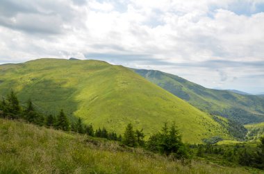 Pürüzsüz yeşil tepeler, sık ormanlar ve bulutlu bir gökyüzü içeren nefes kesici bir manzara. Doğa, yürüyüş, dinginlik ya da çevre manzarası için idealdir. Karpat Dağları, Ukrayna