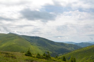 Sersemletici dağ manzarası bulutlu ama parlak gökyüzünün altında yeşil yuvarlanan tepeler doğanın güzelliğini gözler önüne seriyor. Karpat Dağları, Ukrayna