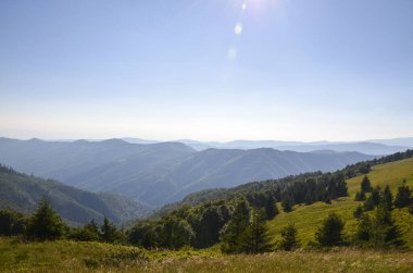Berrak mavi gökyüzünün altındaki yemyeşil dağ sırasının güneş ışığıyla güzel manzarası. Yuvarlanan tepeler, ormanlık alanlar ve uzak ufuklarla birlikte doğanın huzuru. Karpat Dağları, Ukrayna