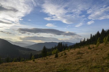 Gün batımında dramatik bir gökyüzü altında büyüleyici bir dağ manzarası. Yuvarlanan tepeler ve dingin tarlalar sakin ve doğal bir güzellik hissi yaratıyor. Karpat Dağları, Ukrayna